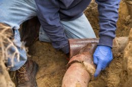 Main Sewer Line is Clogged